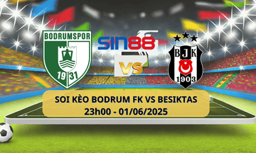 Logo Bodrumspor